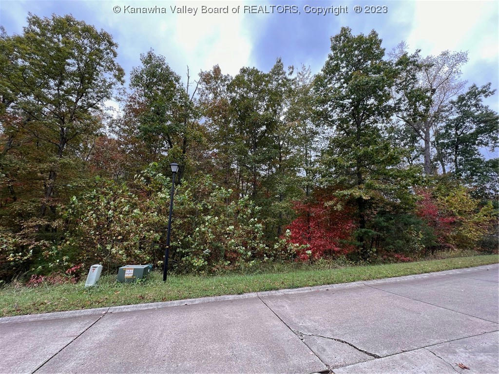 0 CRYSTAL SPRINGS DRIVE, WINFIELD, WV 25213, photo 1 of 9