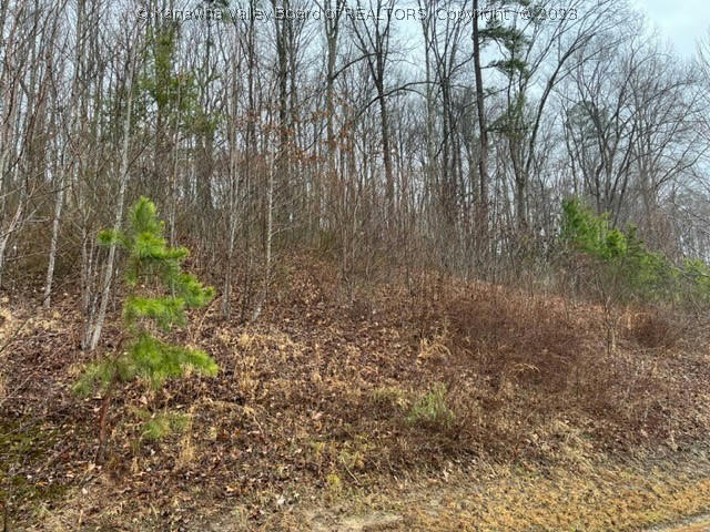 0 LOT 115 GRAFF LANE, CHARLESTON, WV 25304, photo 1 of 9