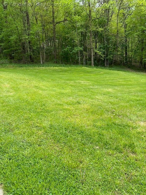 0 WATERFORD (LOT 3) LANE, BELLE, WV 25015, photo 1 of 3