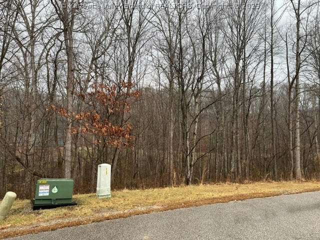 0 LOT 97 QUARRY CREEK, CHARLESTON, WV 25304, photo 1 of 10